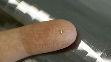 tiny microchips Sweden